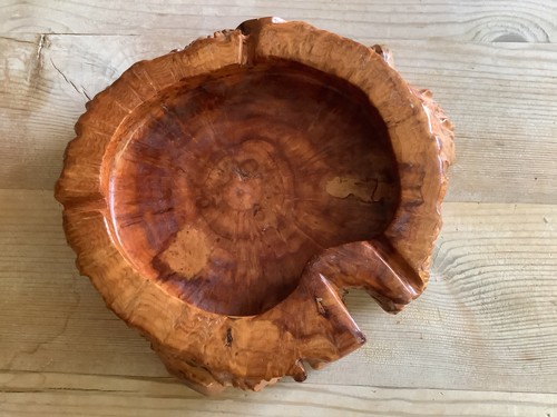 Large wooden tree trunk ash - large,